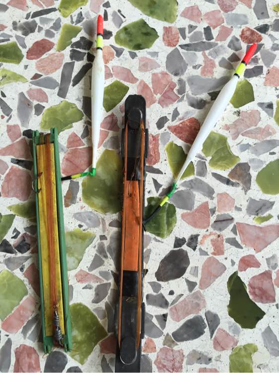 简单即快乐！1元的漂，杂牌3米6照样降服大麦鲮