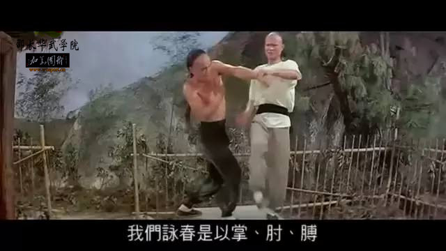 咏春拳败家仔完整视频,败家仔咏春拳口诀