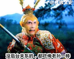 诸神坐骑下凡大比拼，要在凡间混关键还得看背景