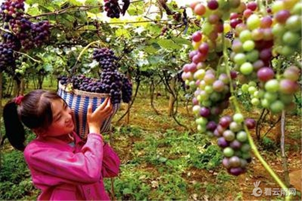 红河旅游景点大全排名榜,红河哈尼旅游景点