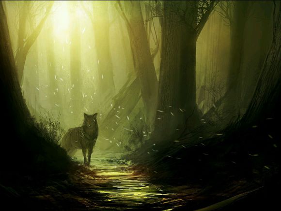 梦境解析技巧分享,玄学梦境解答