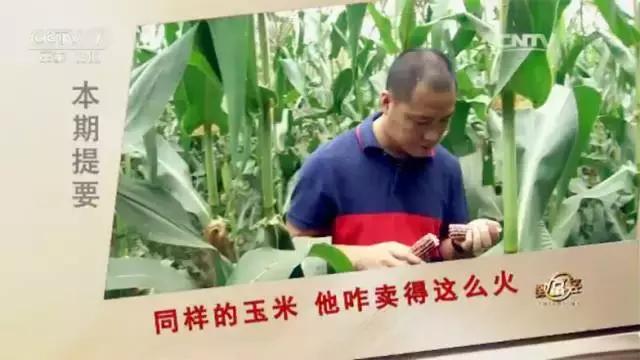 央视7台致富经全集,央视7套致富经直播时间