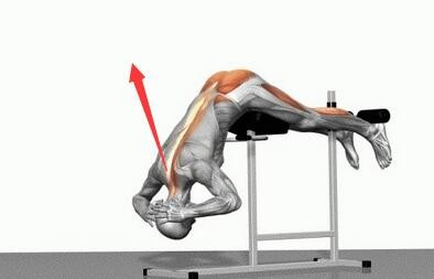 足球运动中常见的损伤康复,足球运动常见运动损伤的康复方法