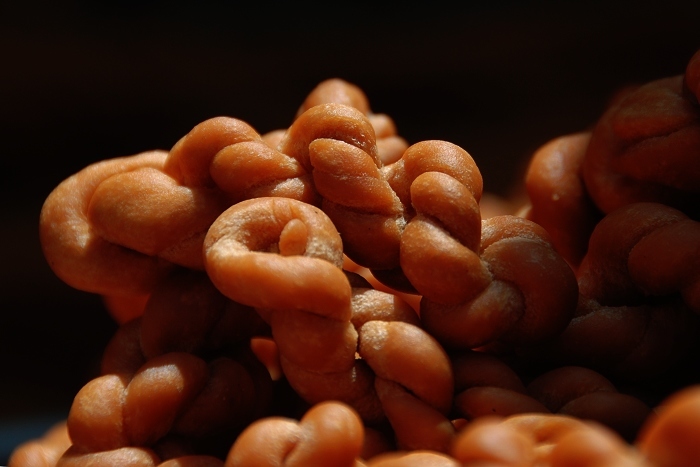 常见油炸小吃大全,各种特点油炸食品的做法