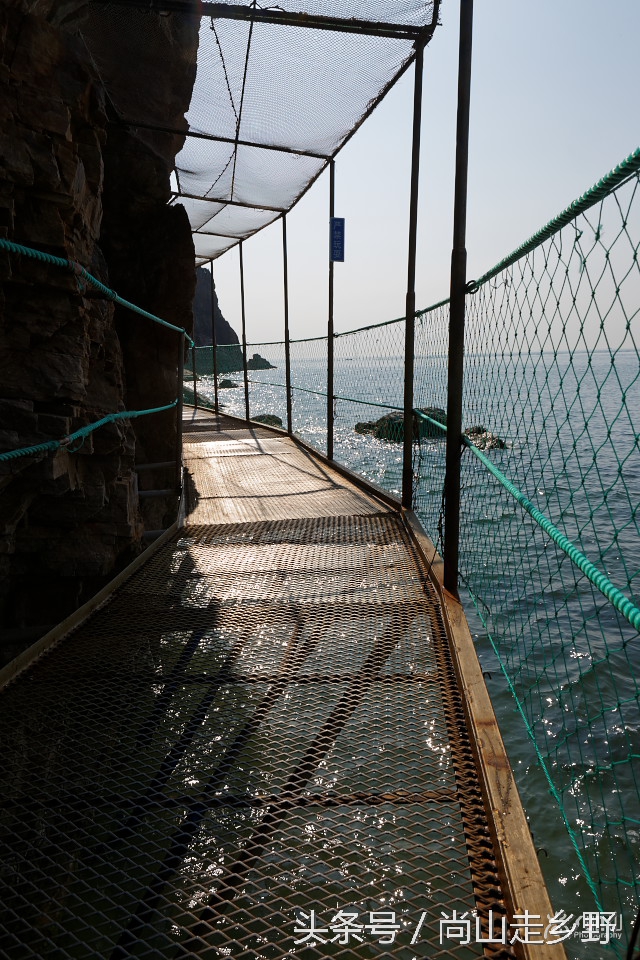 这座没有居民的小岛，是海鸥的王国，为何却叫海驴岛？