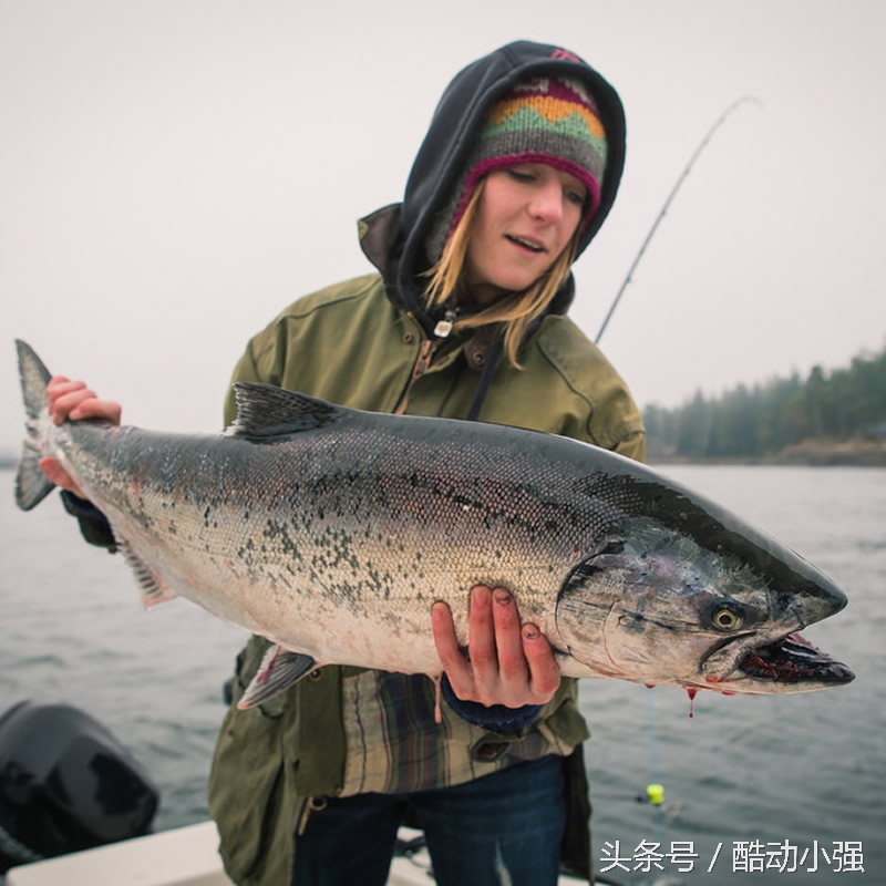 绑钩器使用方法图解视频教程,图解绑钩器使用方法