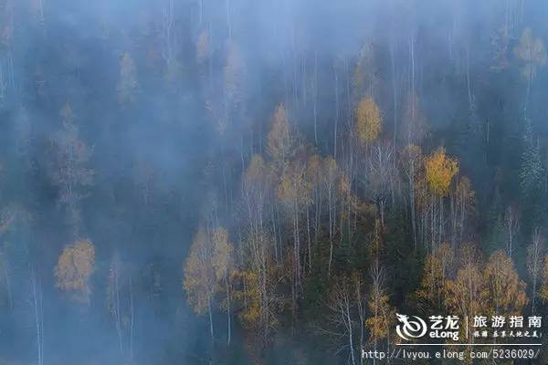 秋天来了该好好生活,秋天来了又该准备秋装了