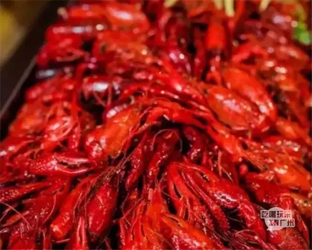 广州美食自助餐探店排行榜前十名,广州特点美食餐厅排行榜前十名