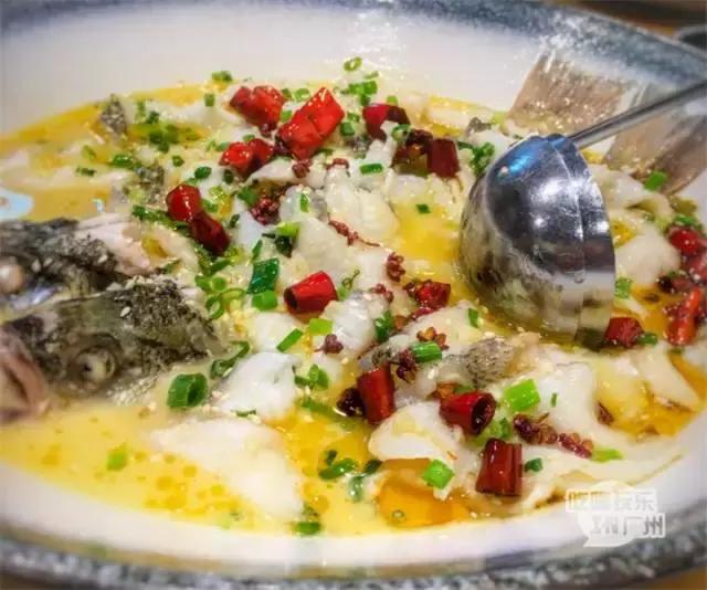 广州美食自助餐探店排行榜前十名,广州特点美食餐厅排行榜前十名