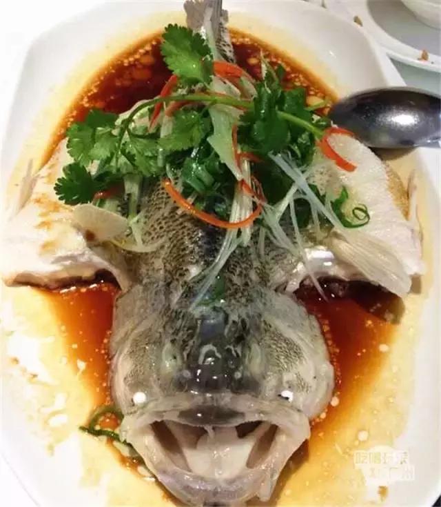 广州美食自助餐探店排行榜前十名,广州特点美食餐厅排行榜前十名