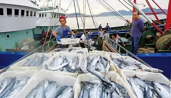 象山石浦渔港古城开渔节,开渔节暨海鲜美食文化旅游节