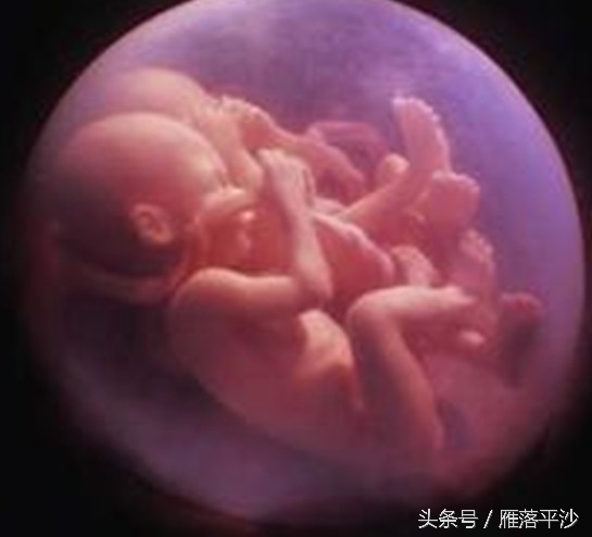 十年生儿育女,十年怀胎生下女儿