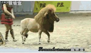 遇上这种队友真是让人哭笑不得啊,遇上这种队友真是让人哭笑不得