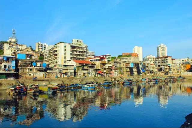 你为什么定居厦门,多少人离开了厦门