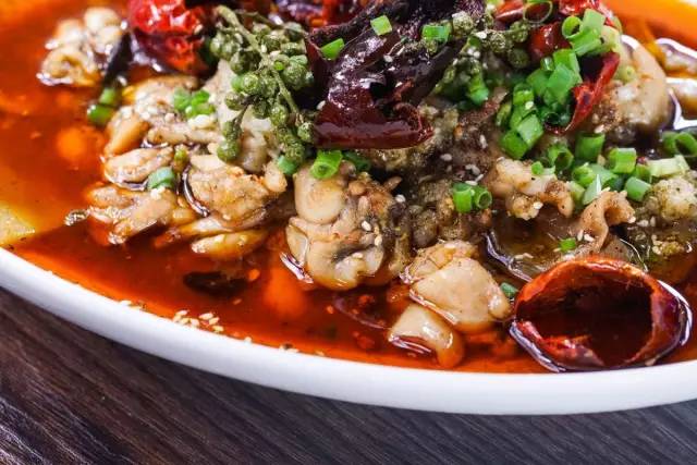 卷福秋冬季新菜发布会（上）：一大波卷福的朋友们正在来袭！