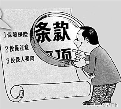 有几个人真正看懂保险的条款,保险条款怎么看最靠谱