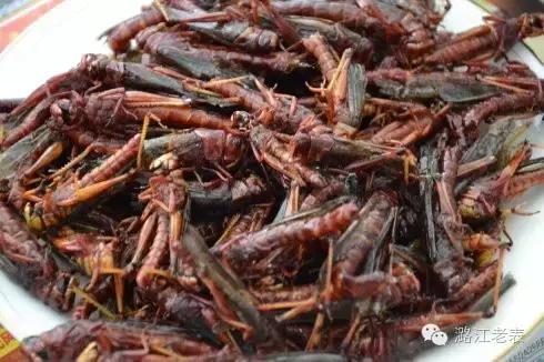 云南昆虫宴美食,云南特点虫宴