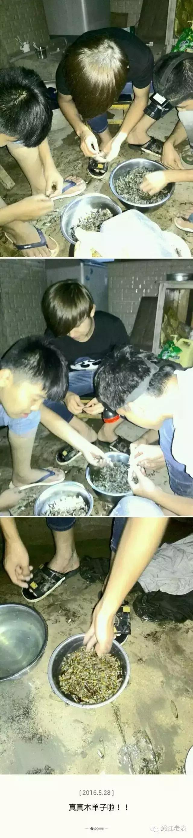 云南昆虫宴美食,云南特点虫宴