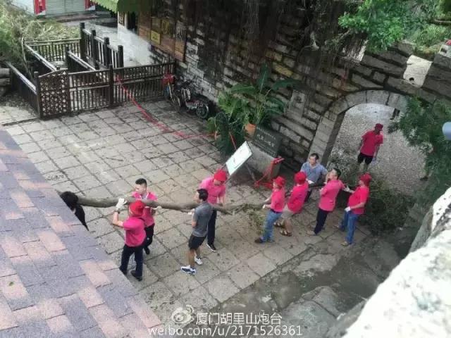 台风后的厦门值得一看,台风过后的厦门依然美丽