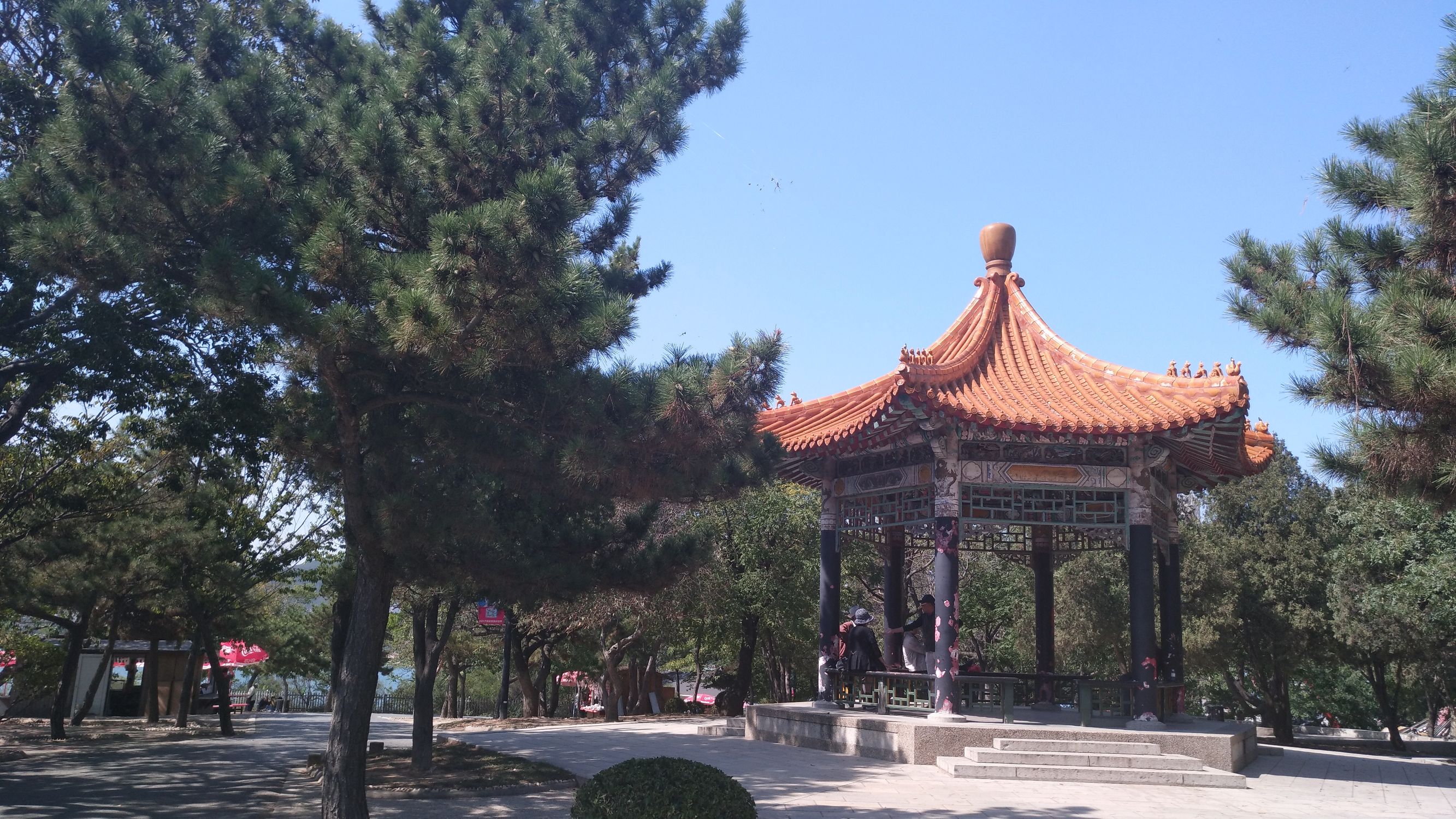 大王叫我来“巡街”：大连星海广场、星海公园、黑石礁