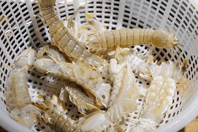 卷福秋冬季新菜发布会（上）：一大波卷福的朋友们正在来袭！