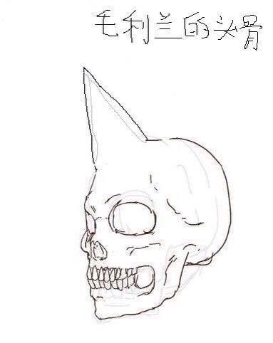 少年侦探团照片,少年侦探团柯南图片