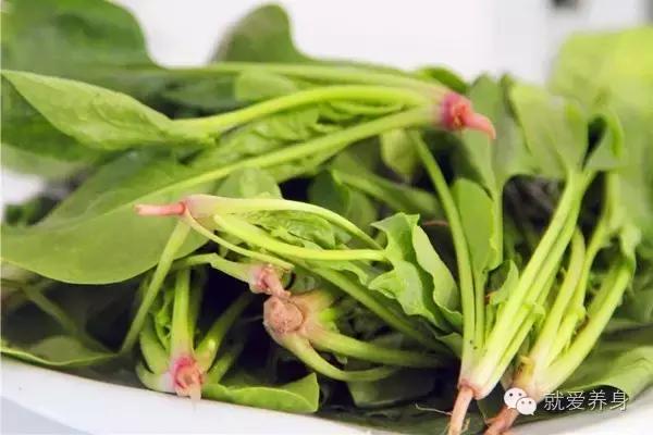 秋天一定要多吃这道菜,秋天要多吃这菜香软营养