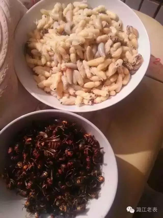 云南昆虫宴美食,云南特点虫宴