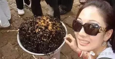 云南昆虫宴美食,云南特点虫宴