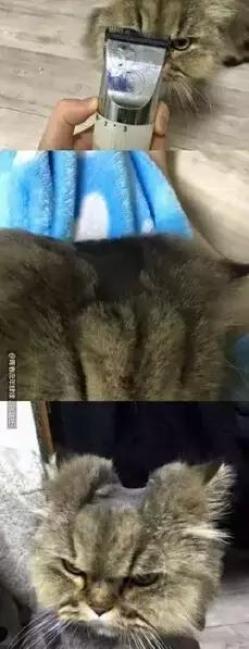 有治打呼噜的方子吗,治疗打呼噜有没有靠谱的方法