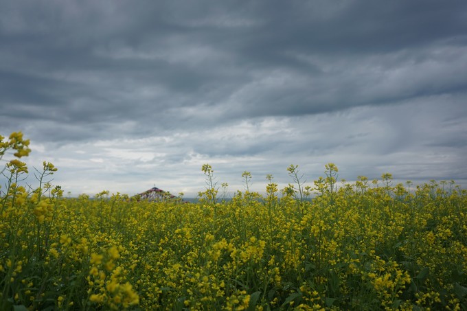 青海大西北之旅 (西宁青海湖张掖敦煌夏季之旅)