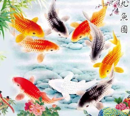 哪年生人决定一生荣华富贵,几月出生的人最享福