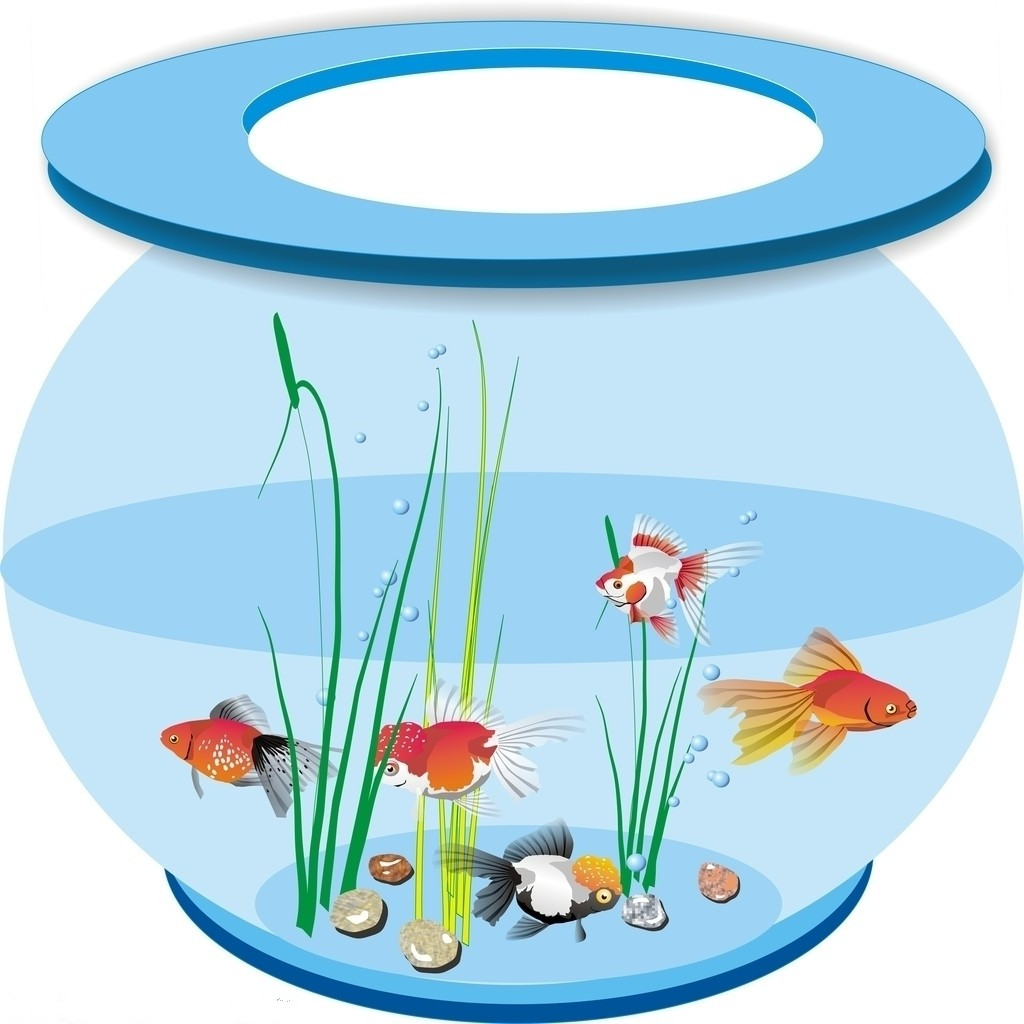 2022年家里鱼缸摆放位置风水图,家里养鱼鱼缸摆放在墙角上合适吗