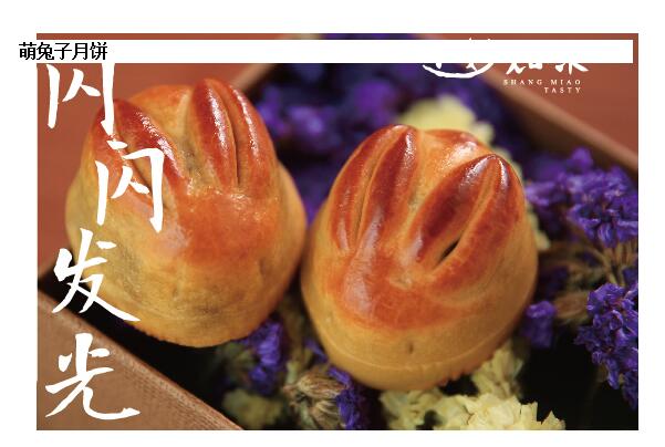 各种口味的月饼真的很好吃图片,太原老味道月饼哪有