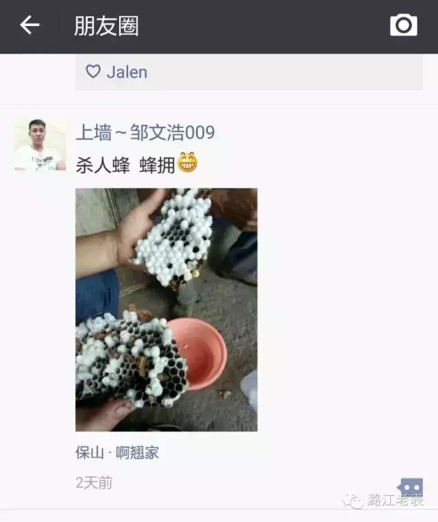 云南昆虫宴美食,云南特点虫宴