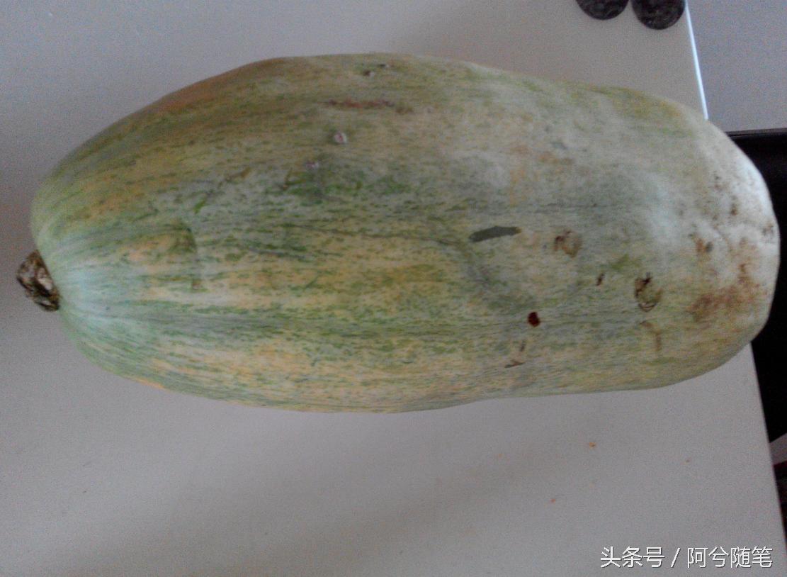 农村人最爱种植的20种“瓜”，你认识几个？|阿兮随笔