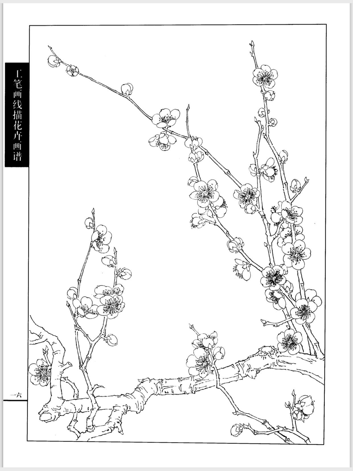 学cg绘画需要注意些什么呢,零基础学cg绘画怎么快速入门