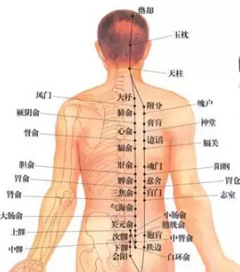 秋天刮痧排毒又进补图文教学,金秋最排毒的刮痧法