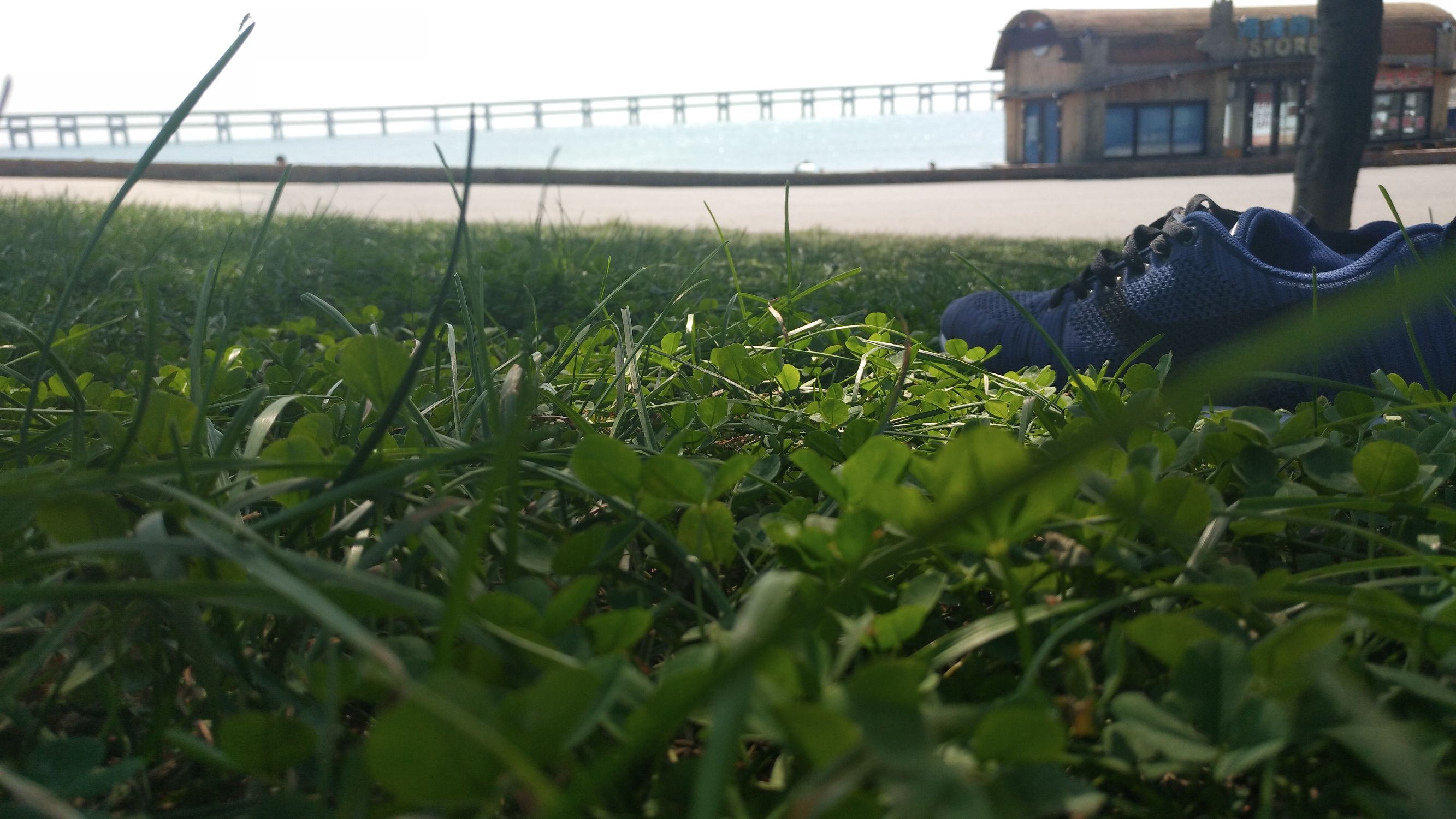 大王叫我来“巡街”：大连星海广场、星海公园、黑石礁