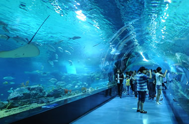 京津冀旅游攻略景点推荐,京津冀附近旅游景点推荐