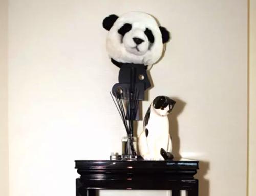 王思聪赵丽颖综艺节目叫什么名字,王思聪赵丽颖视频素材