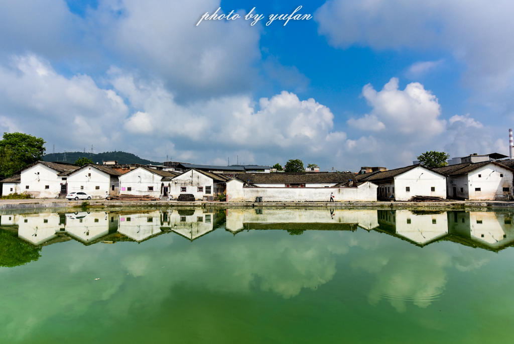 丝路奇迹：观围屋之典范，赏苏铁之传奇