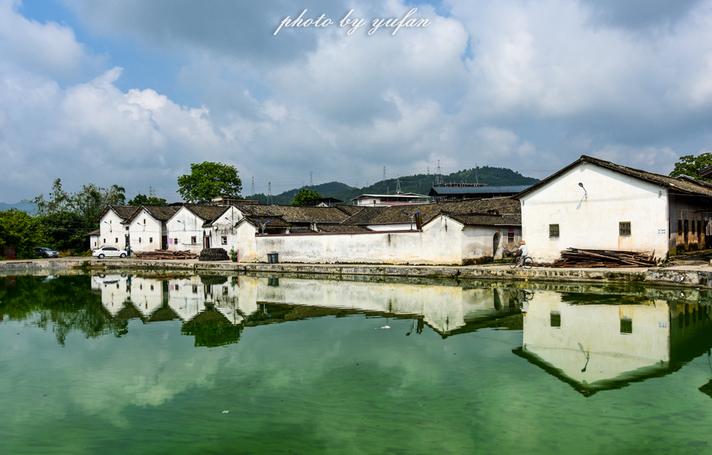 丝路奇迹：观围屋之典范，赏苏铁之传奇