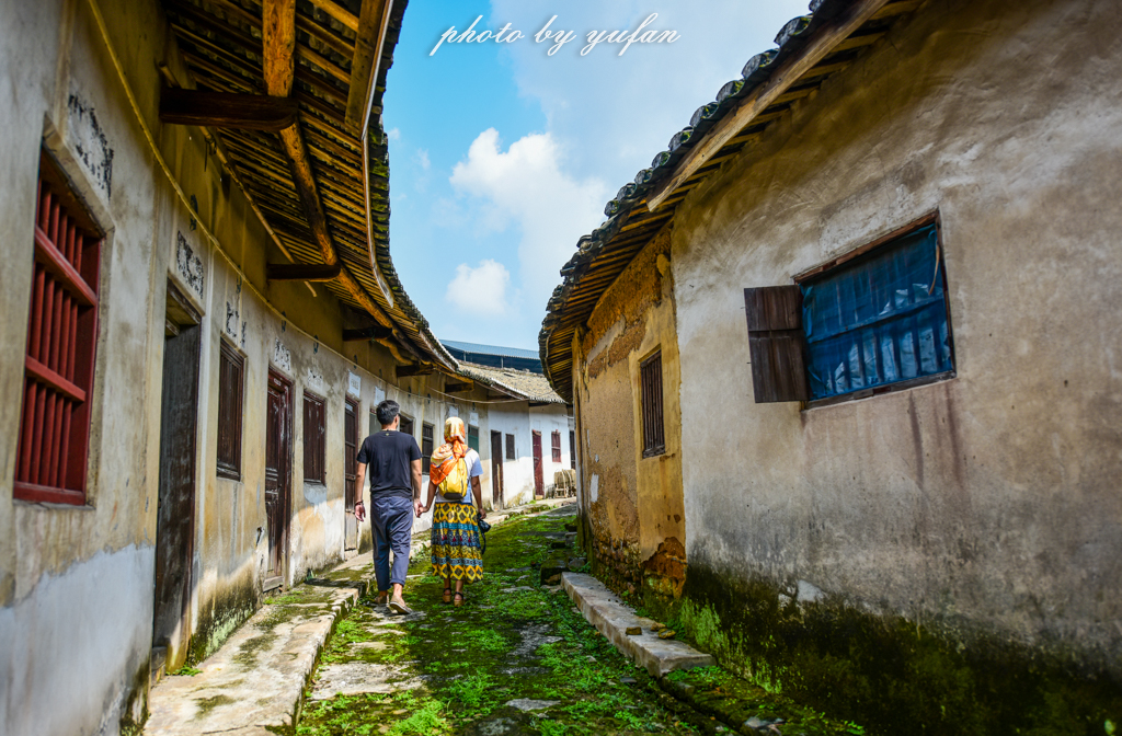 丝路奇迹：观围屋之典范，赏苏铁之传奇