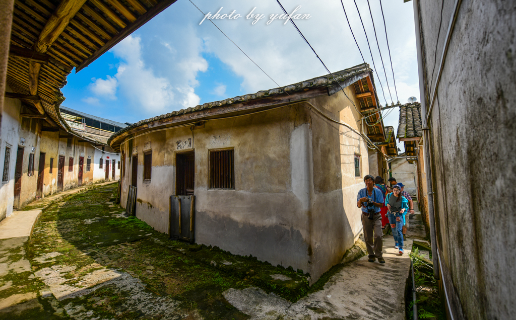 丝路奇迹：观围屋之典范，赏苏铁之传奇