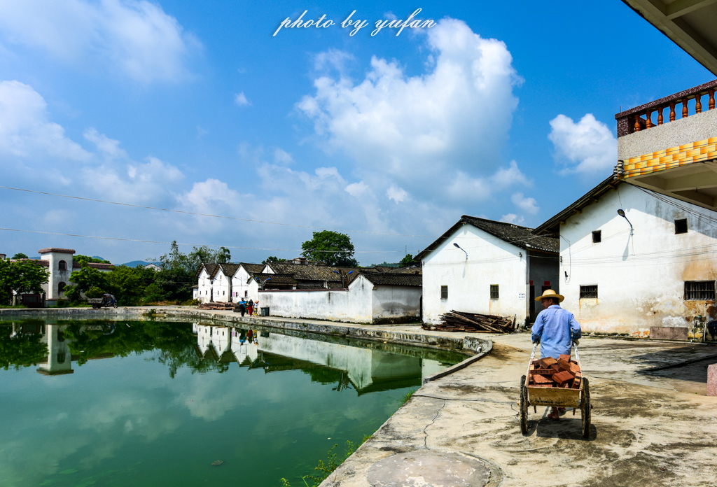 丝路奇迹：观围屋之典范，赏苏铁之传奇