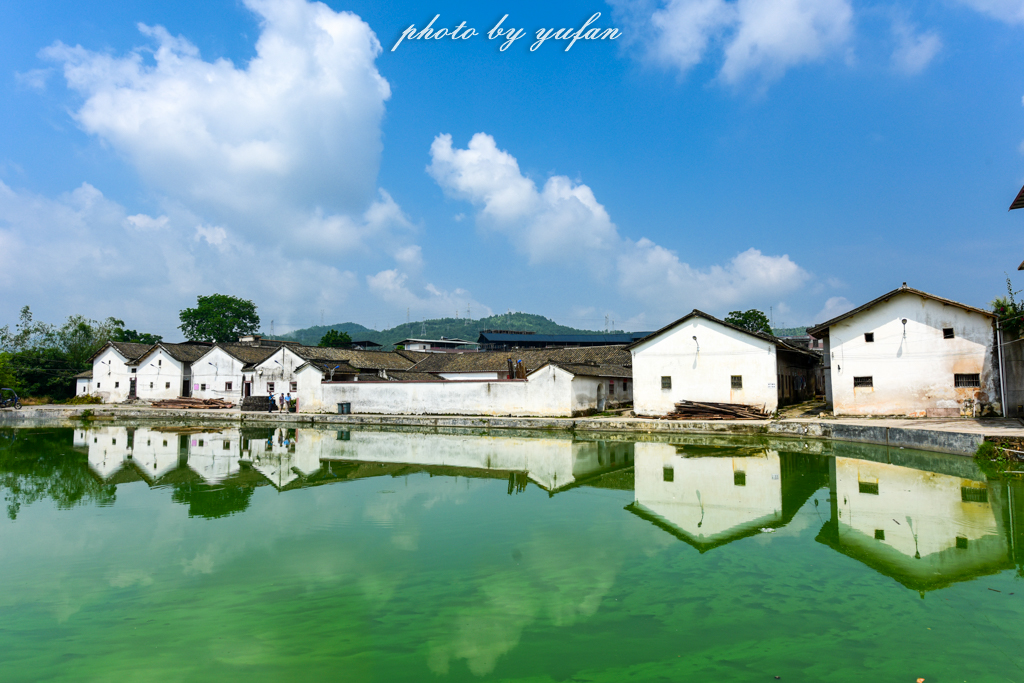 丝路奇迹：观围屋之典范，赏苏铁之传奇