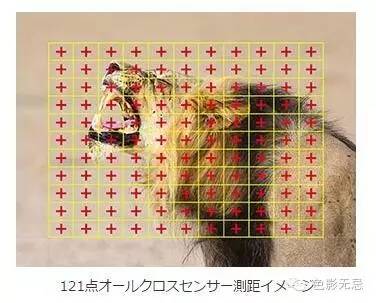 Photokina快讯｜一山还比一山高（机身篇）