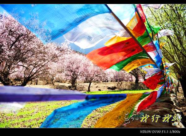 滇藏桃花源,滇藏桃花秘境