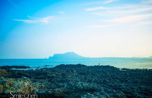 新窝济州岛,济州岛岛上